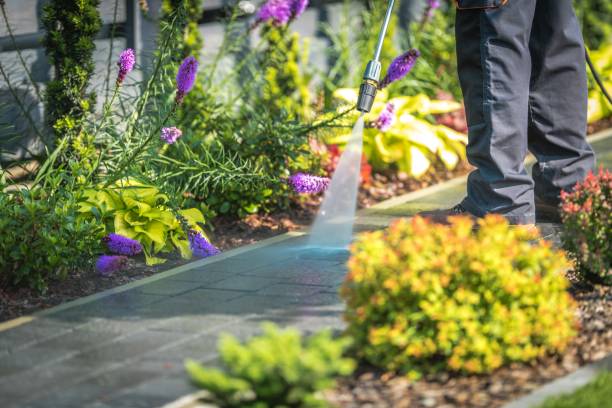 Best Patio and Deck Pressure Washing  in Brookville, IN